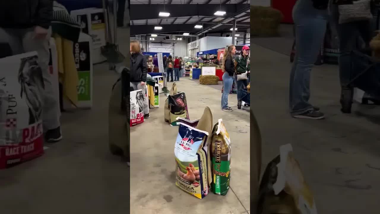 Spending the weekend with @wnyequifest ! 🤠