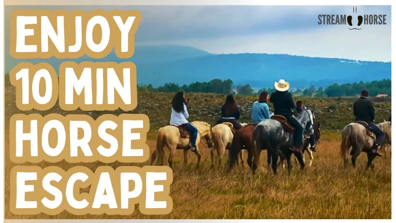 A 10-Minute Horse Escape — Quiet Trails and Peaceful Nature 🐎🌲😁