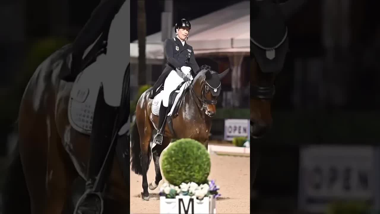 The winner of AGDF 🔟’s CDI-3* Freestyle, Frederic Wandres 🇩🇪 & Verrenberg owned by Hof Kasselman 🐎