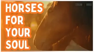 Horses for Your Soul | Relaxing and Inspirational Horse Video