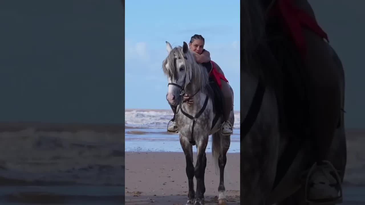 Find me where the horses are ♥️