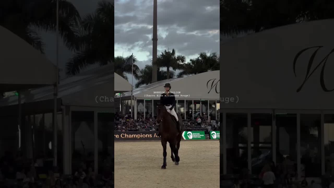 Ladies and Gentlemen … 🧯🔥