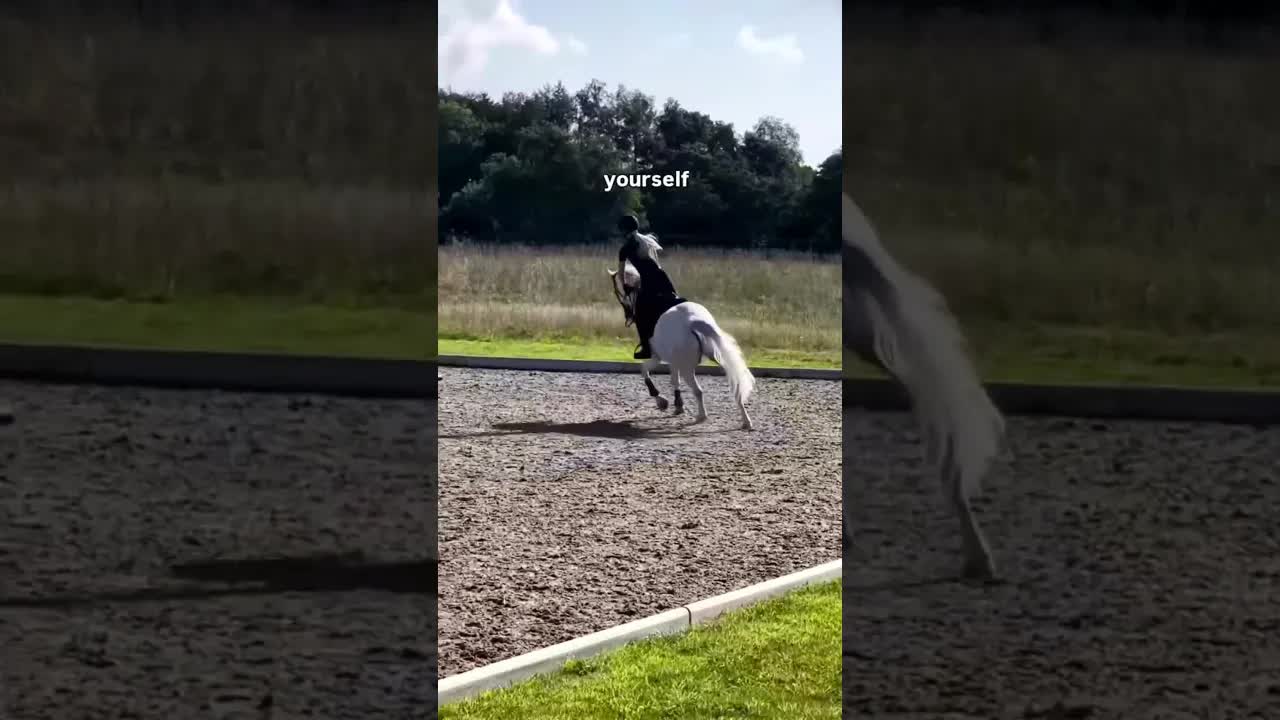 NEVER EVER GIVING UP!! 💛💛