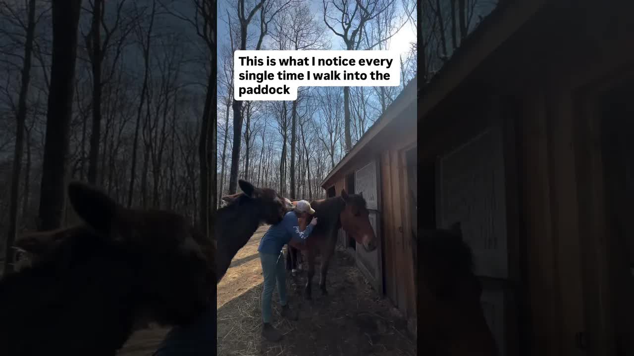 Before I even open the gate, I notice my breath. Because I’ve started to see something 👇