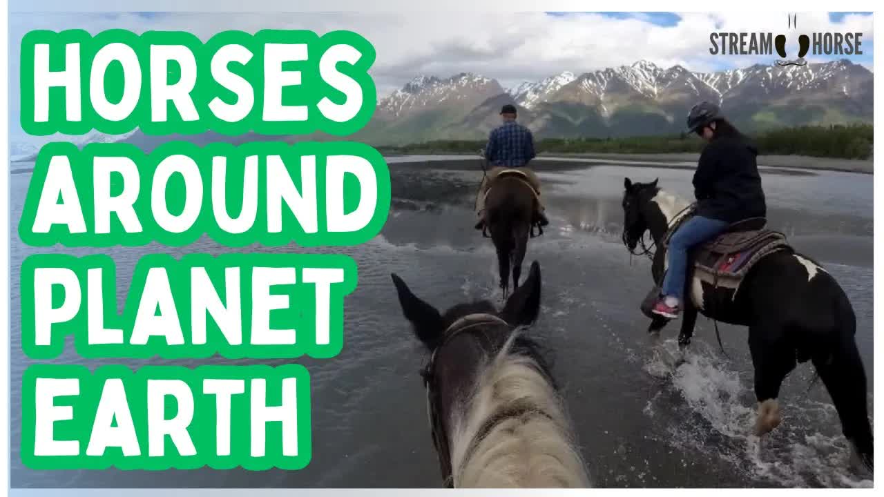 10-Minute Horse Adventure Around the World — Gentle Nature and Calm" 🐴🌎😁