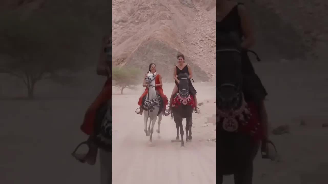 Sharing our love for horses with you has been one of the most beautiful parts of my life.