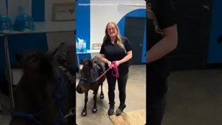 ✨Honored. Humbled. Inspired.  ✨