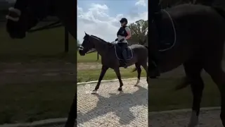 Thank you @spencerbrittan of @royal.oak.equestrian for spending the afternoon with us!