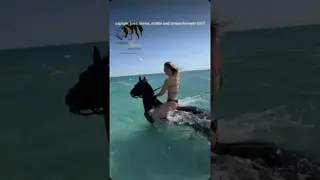 Swimming with the horses in hurghada 🔆🌴✈️🐪🇪🇬