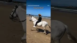 “He’s just a horse…” “NO. He’s my FRIEND” 🤝🐴