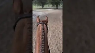 Lois & Wilma in the Thoroughbred Hunters at World Equestrian Center Ocala today 🥳🎉