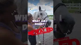 And the answer is……THE HYOID RELEASE! ✨