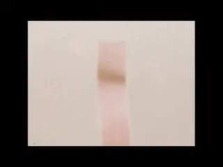 [San Gorgio Whole Egg Noodles]