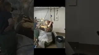 Please consider a donation to the Rising Starr veterinary fund! info below 👇❤️