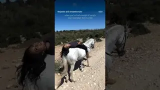 remembering that horses are greater than humans will always be the reset.