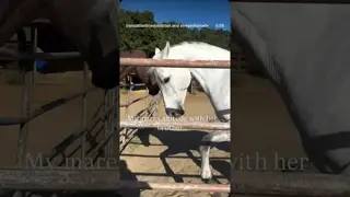 I like to think one day they’ll become best friends