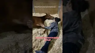 Horses are special. We love them all.