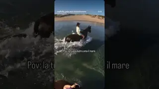 Cavallino Marino 😍