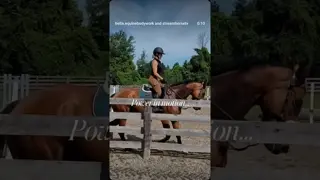 Power isn’t just about how a horse moves - it’s how they recover. 🪽✨