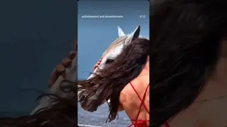 a serene moment 🌏 Bailios 🐴🤍