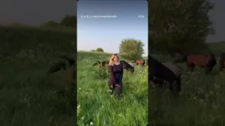 Люди и места 💚 🐎