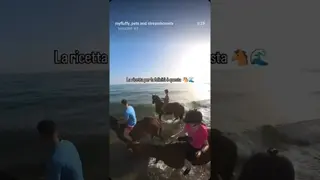 Alzarsi all'alba per questo 🌊🐴 Momenti impagabili ❤️