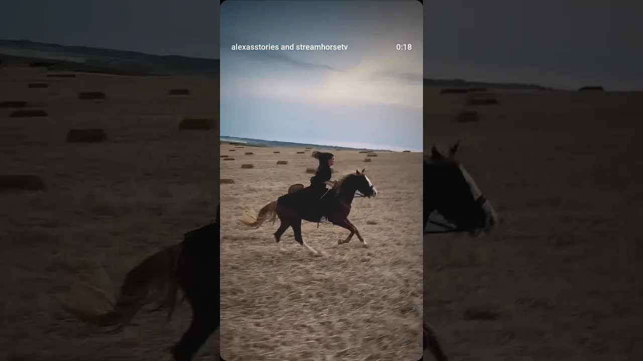 Come fly with us through endless fields on horseback 🐎🔥