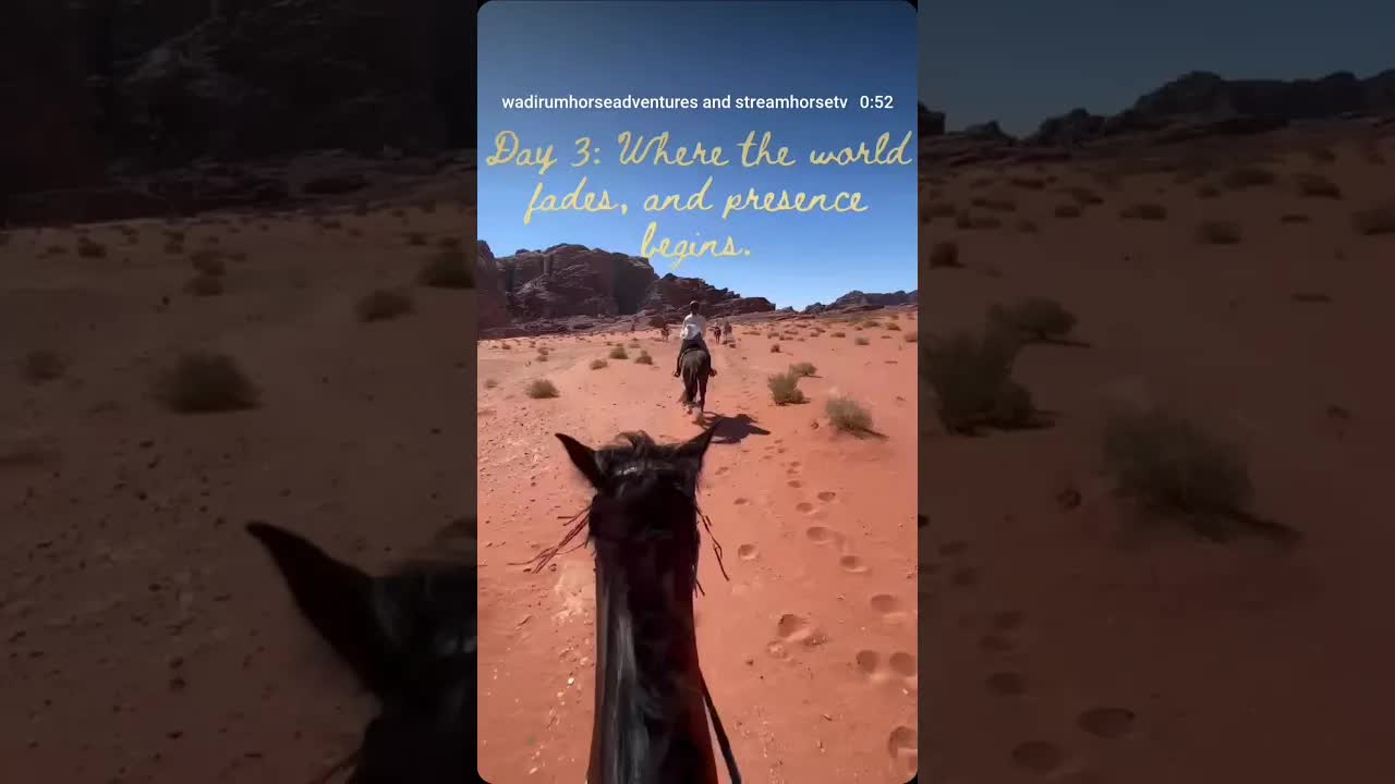 What does freedom look like to you?