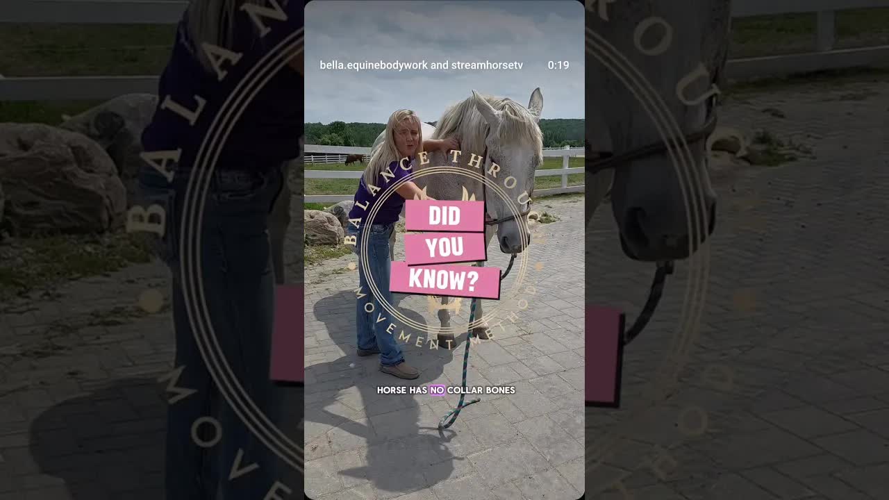 When your horse has no collarbones, every step depends on how well their muscles and fascia support.