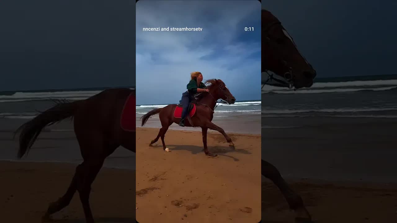 because I want to 👏 if it makes you happy, it ain’t NOBODIES BUSINESS 💃🐴