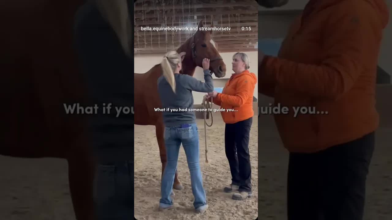 I offer virtual sessions to help guide you in supporting your horse’s body from wherever you are.✨