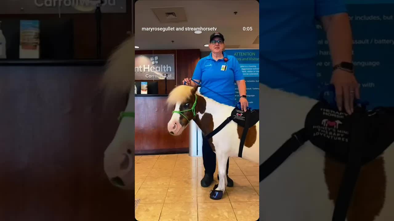 🐴💛 Cookie knows just where she’s needed most with her gentle spirit and calming presence.