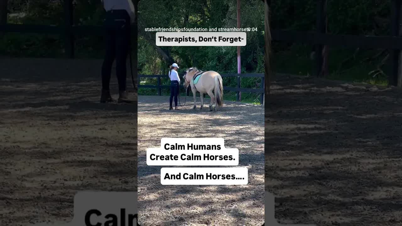 Before the movement, before the goals, before the clinical plan— we begin with presence.