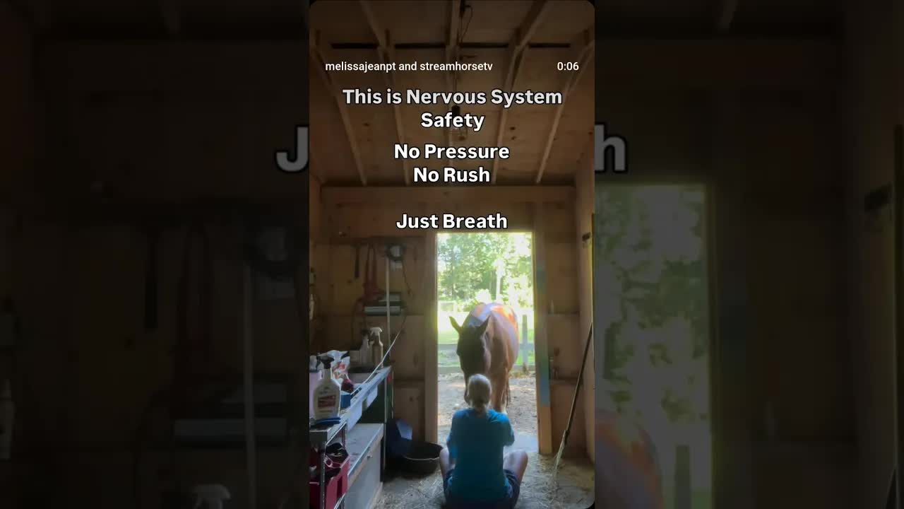 ➰ Sometimes, the bravest thing we can do is be still.