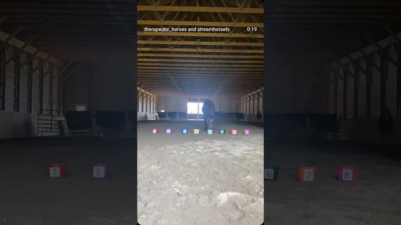 🏇 Our retired racehorses have spoken — and their Belmont picks are in! Who needs Vegas?!