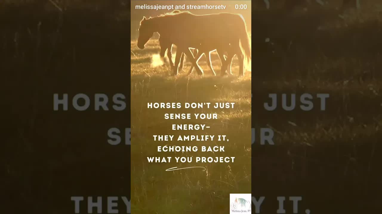 This isn’t just about understanding horses; it’s about recognizing a universal truth.