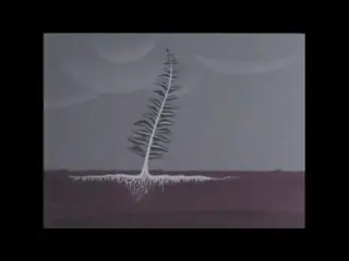 Mosses: Liverworts And Ferns (1969)