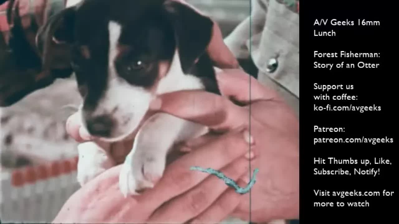 AV Geeks 16mm Lunch 6-19-2025