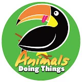 Doing Things