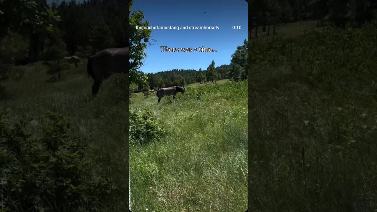 I don’t know how I would have done it, if she wasn’t there walking with me.