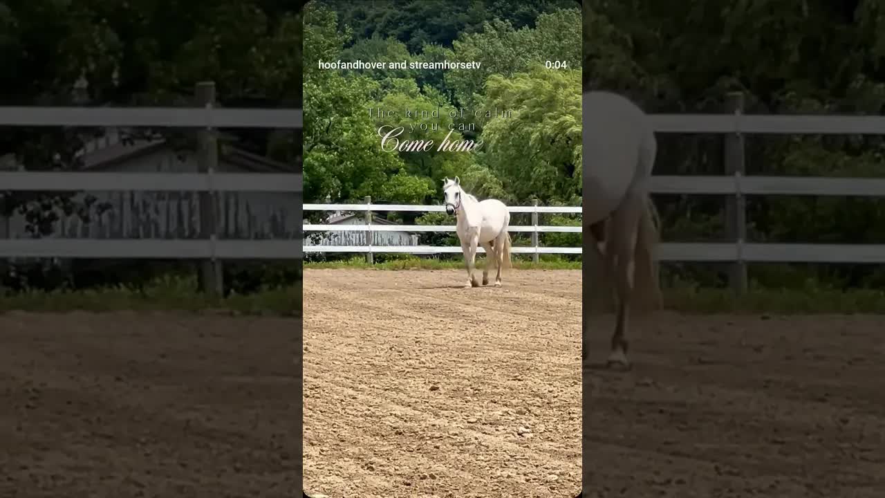 Some places just feel different. It’s not just about finding land… it’s about finding peace.