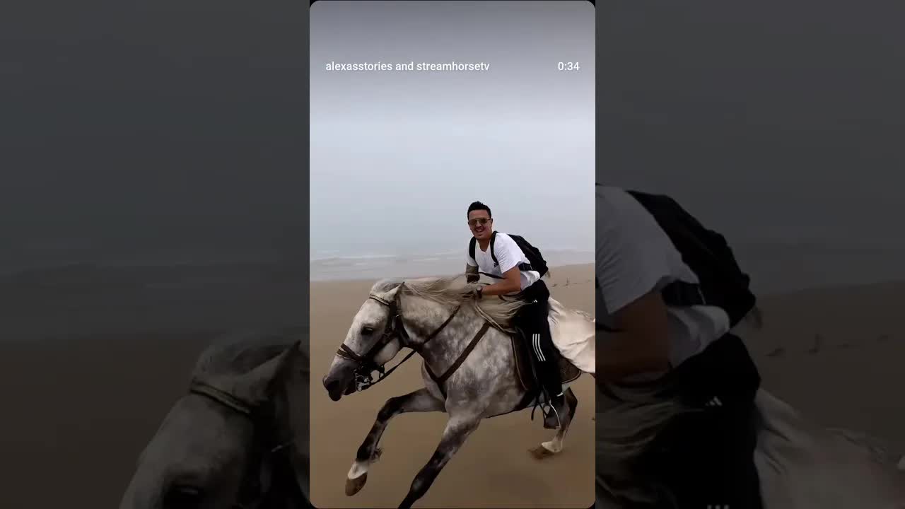 If you could trade your desk for a saddle right now, would you?