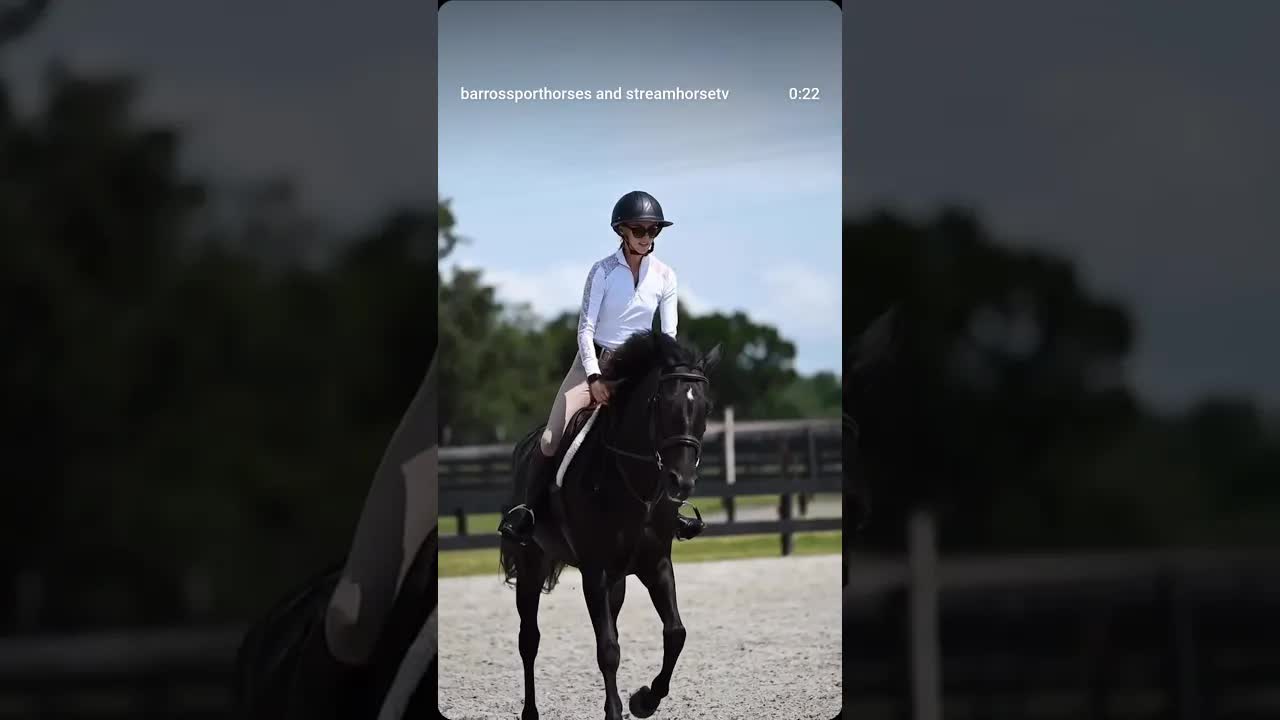 Here is a sneak peek of our latest bombshell... I mean sale horse, Clem!