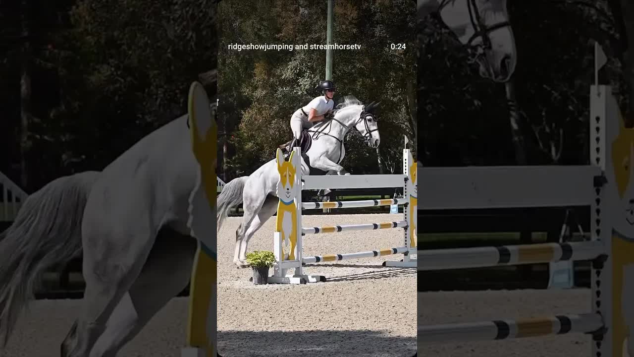 🐎💙 We are always motivated by our amazing riders, sponsors, & partners, from New Jersey to Florida!