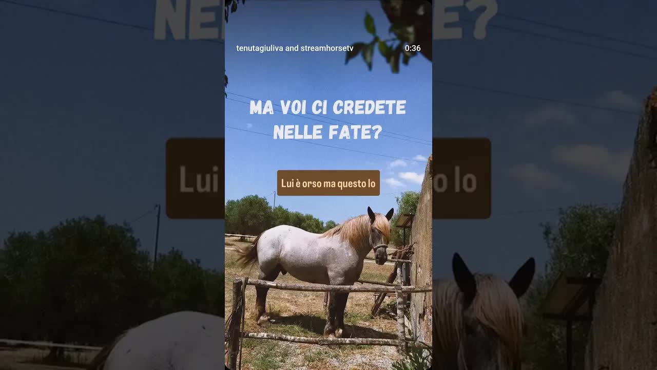 I parte della giornata in spa di Orso 🧸🧚🏻‍♀️