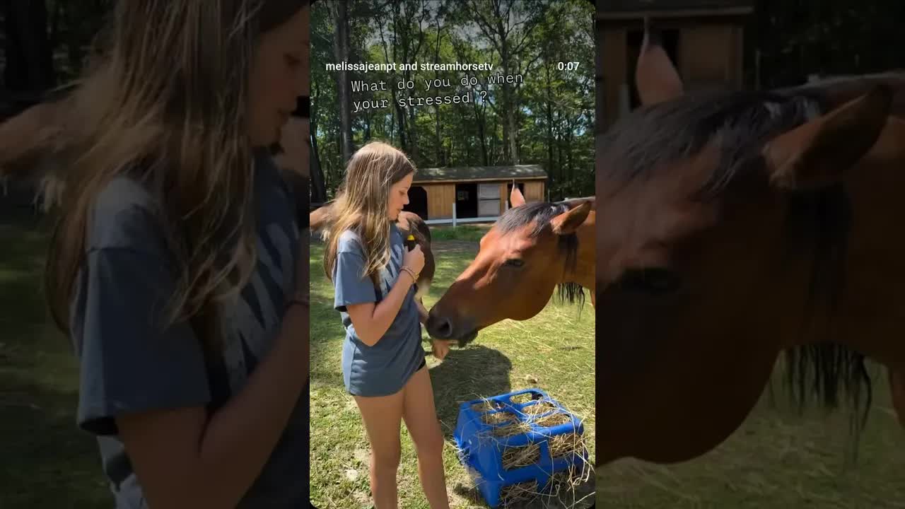 Straight from the Horses Mouth 🤣🤦🏼‍♀️