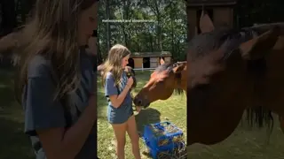 Straight from the Horses Mouth 🤣🤦🏼‍♀️