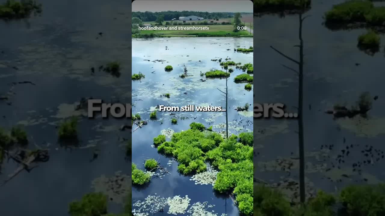 my drone footage brings your vision to life from the sky. ✨