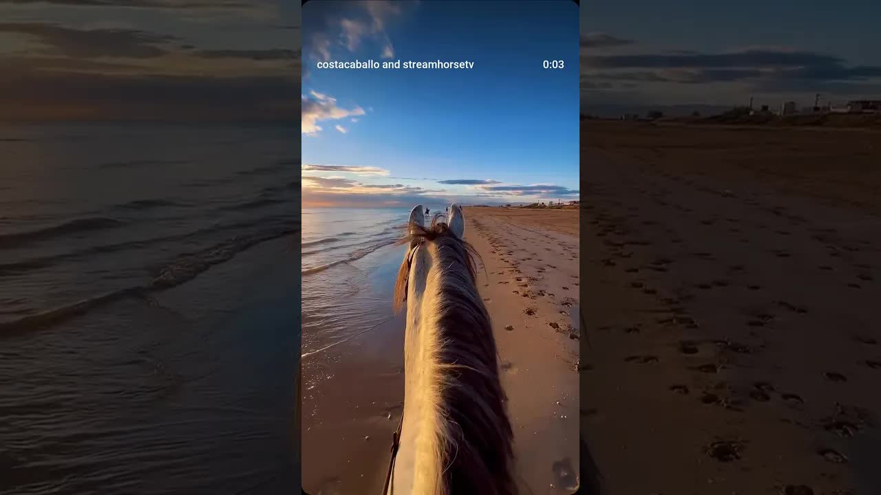 Sunrise rides along the Moroccan coast, just you, your horse, and the sound of waves.  🌊🐎🌅