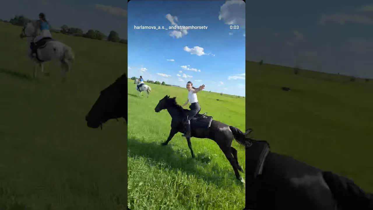 feel the freedom & horsepower